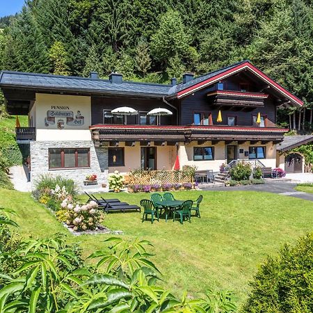 Apartments Salzburgerhof 萨尔巴赫 外观 照片